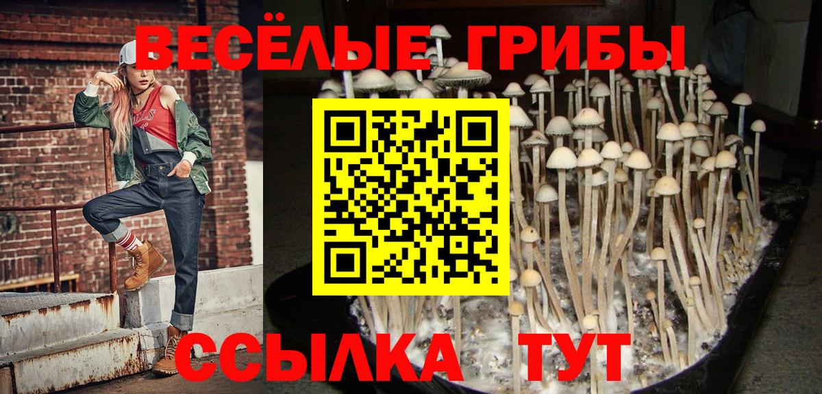 Галлюциногенные грибы Psilocybe Россошь